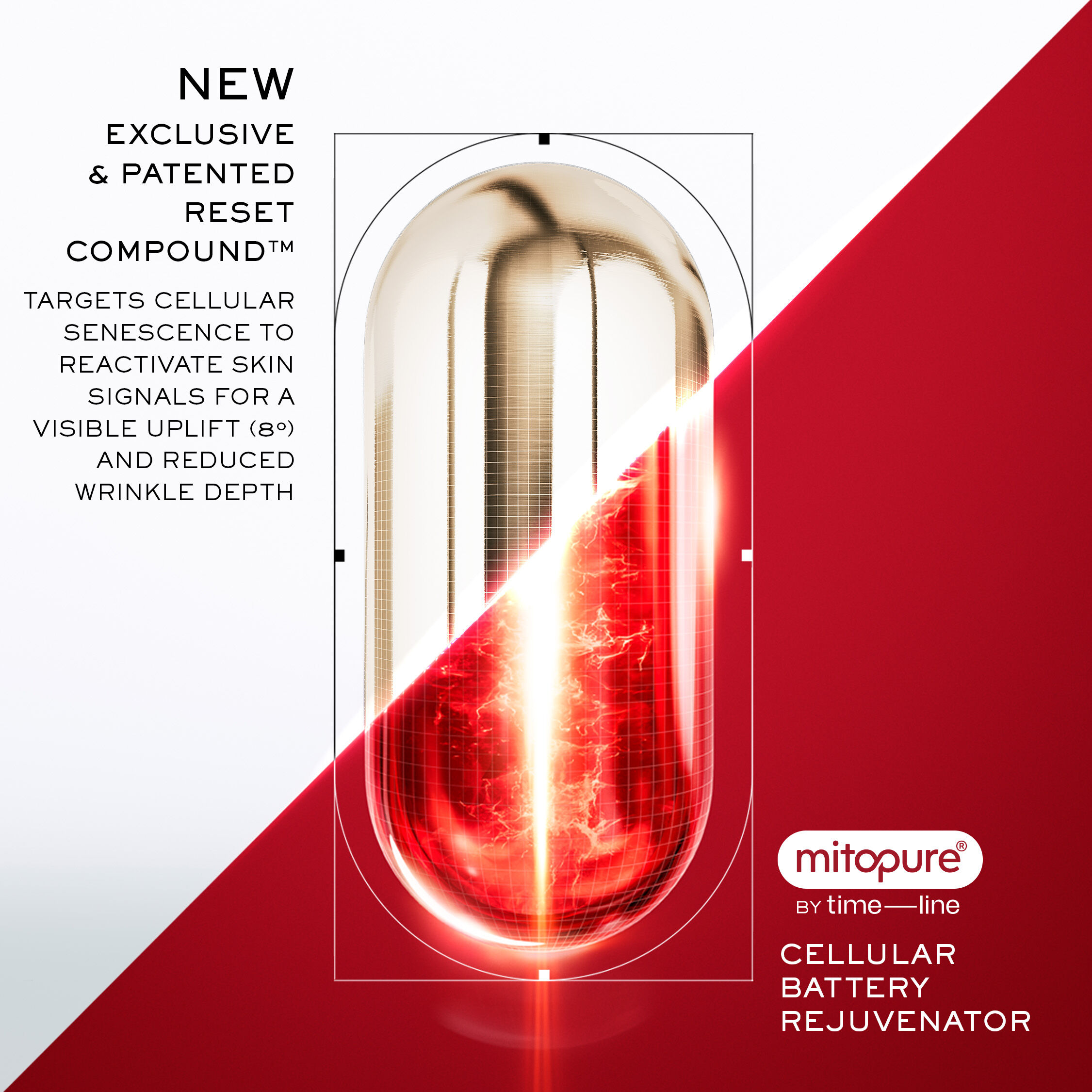 Absolue Longevity MD Reset The Serum