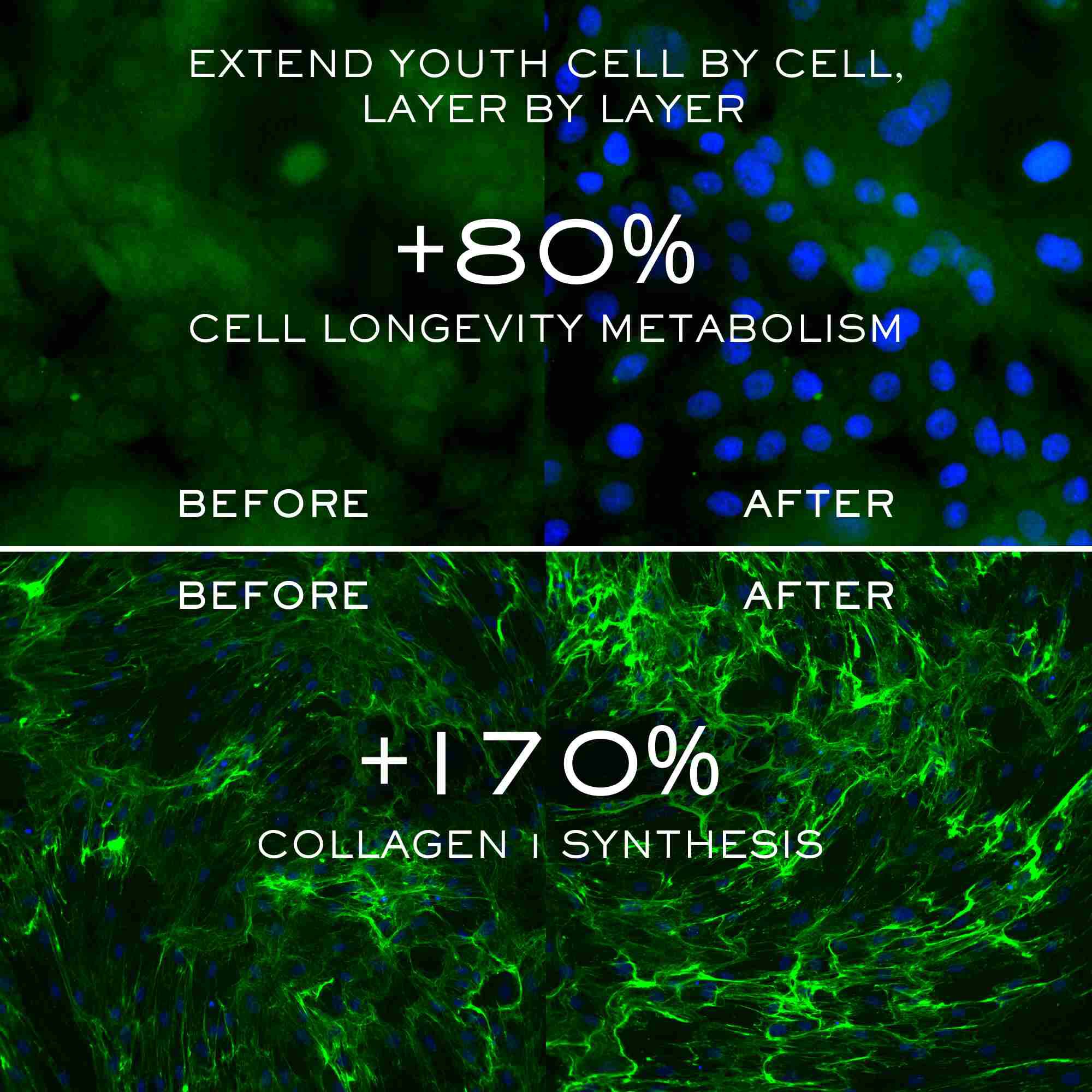 كريم أبسولو لونجيفيتي سوفت