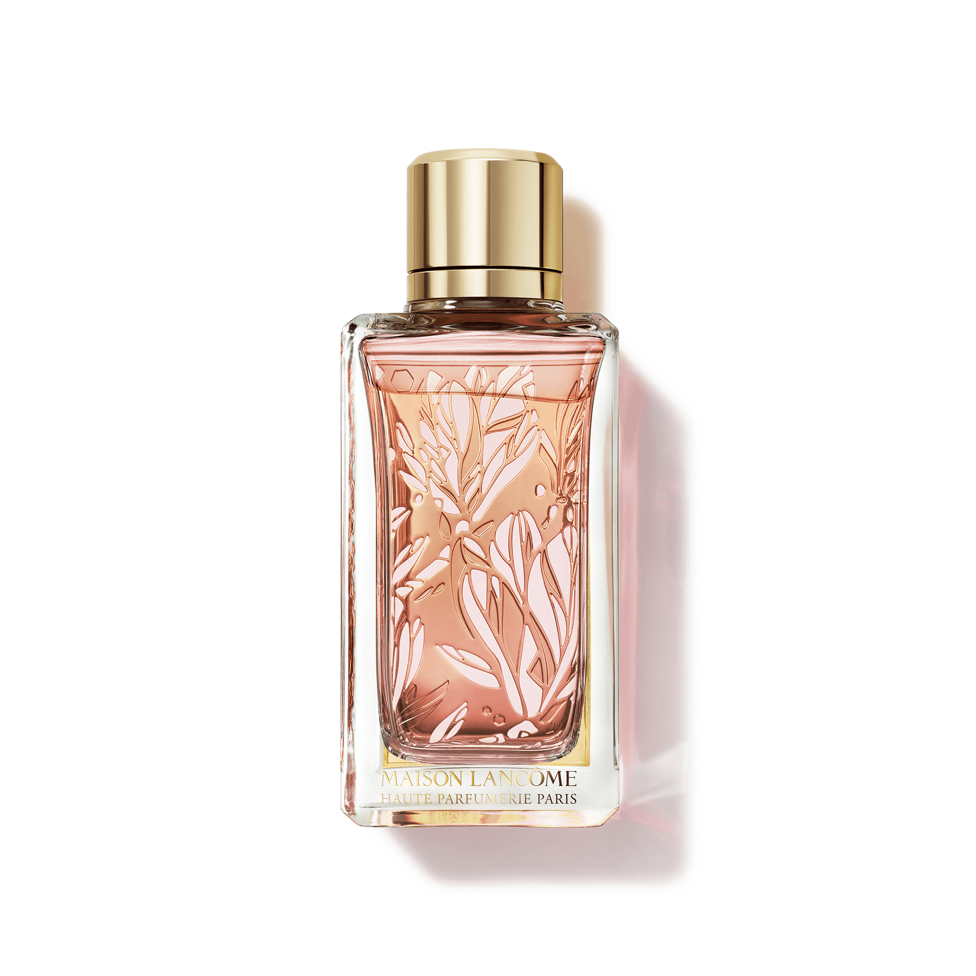 Discover MAGNOLIA ROSAE ✓ Free Sample with every Order