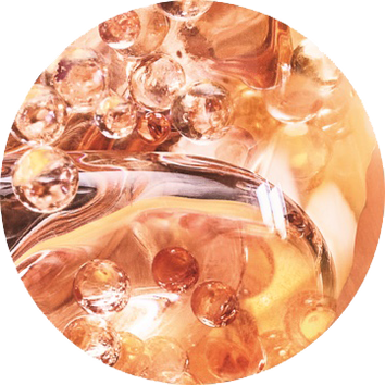 Absolue Rose Molecular Fractions